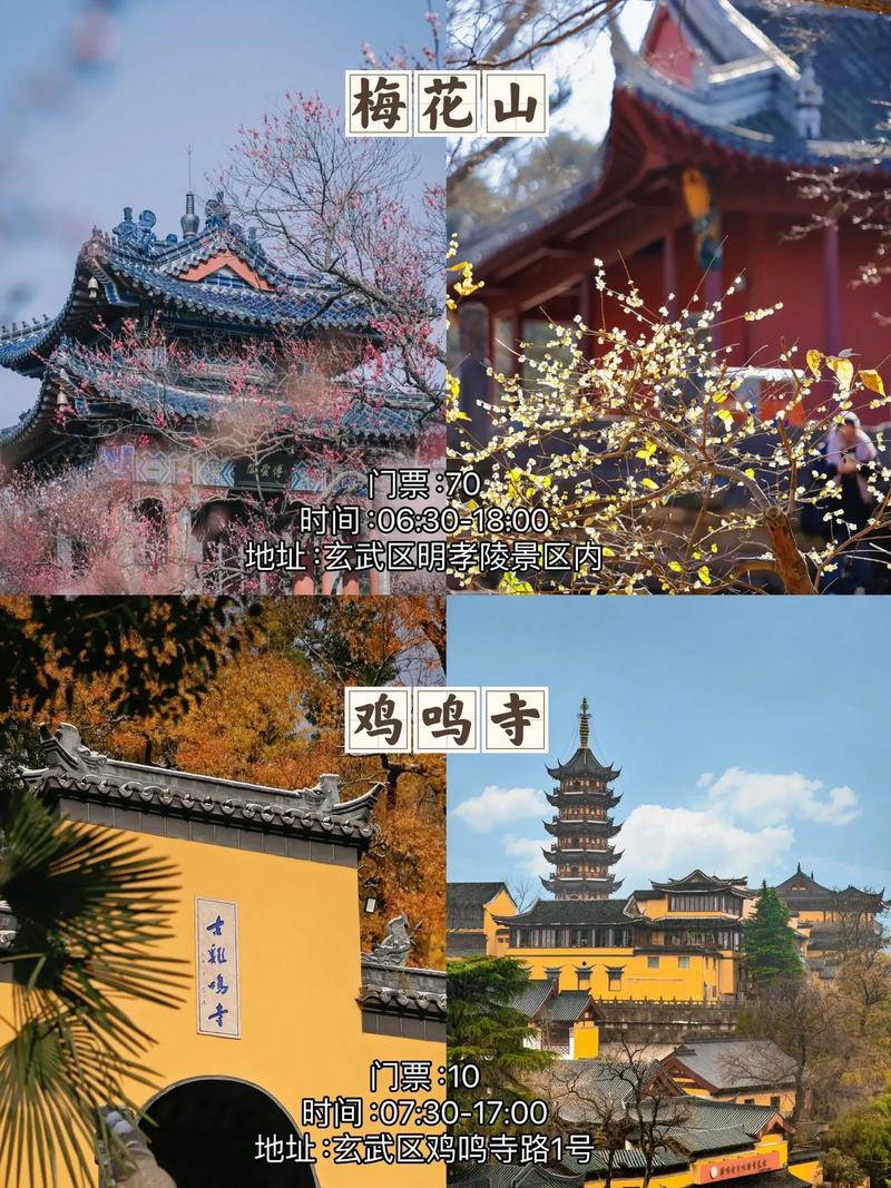春节7天国内去哪里旅游