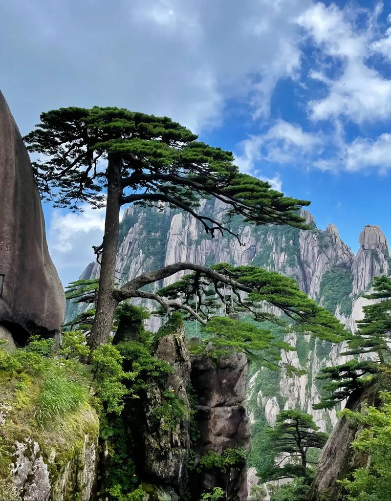 不可错过的黄山景点