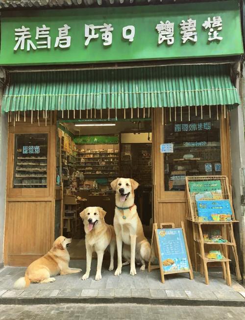 春节期间寄养狗狗多少钱一天
