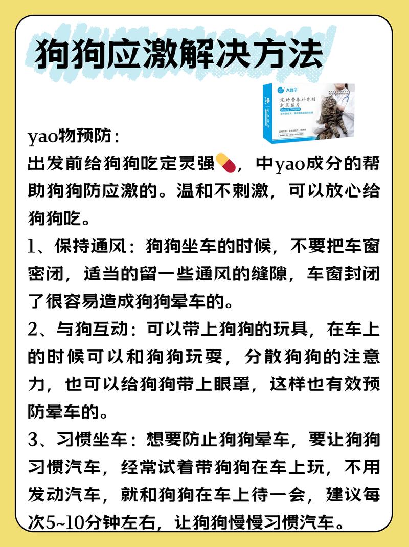 春节狗狗托运怎么避免应激的可能?