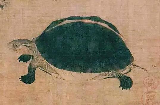 黄筌《写生珍禽图》——禁止出国(境)展览文物