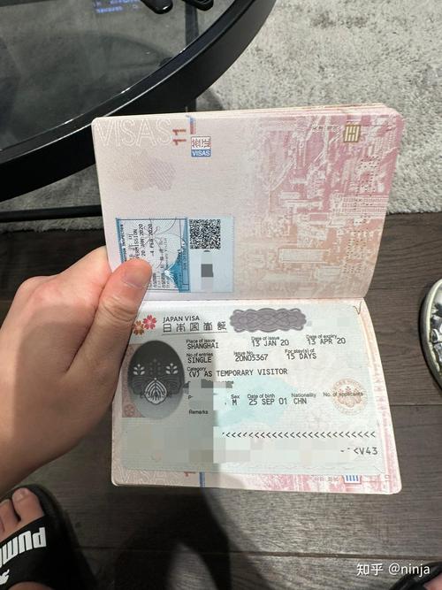 签证与护照准备