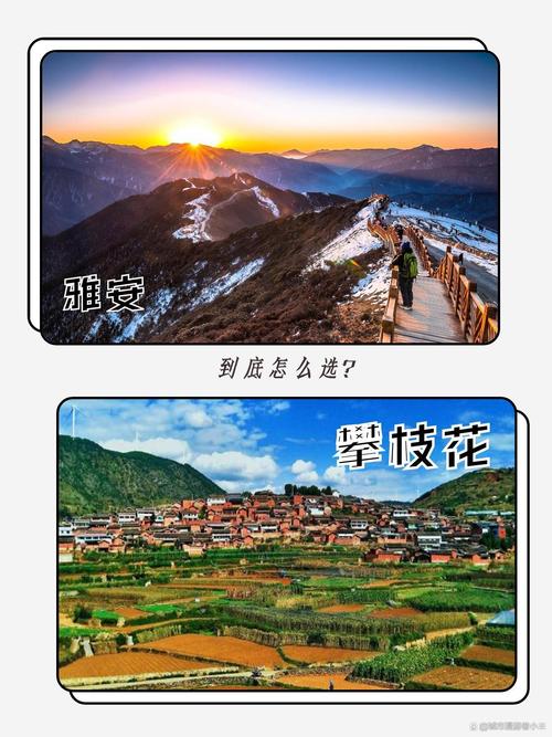 暑假出国旅游, 计划与准备指南