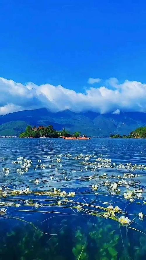 78月份去哪里旅游比较好?
