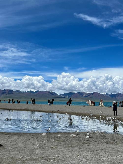 轿车西藏自驾游完整攻略,轿车自驾游去拉萨旅游攻略
