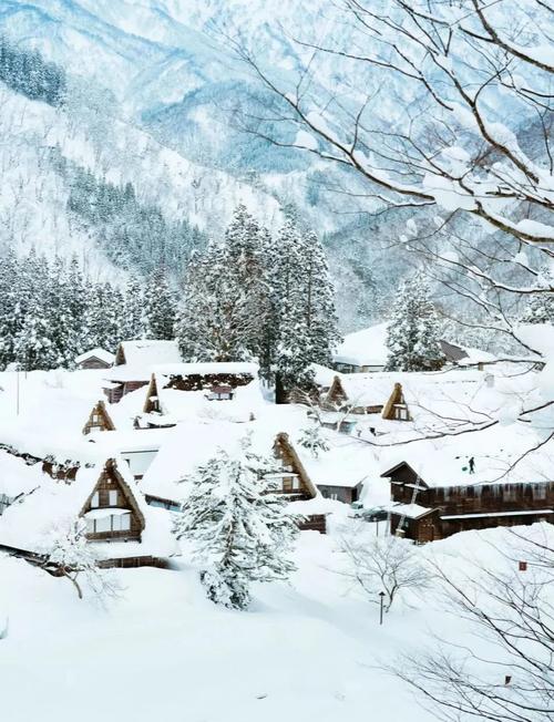 我想春节去日本旅游,会冷吗?