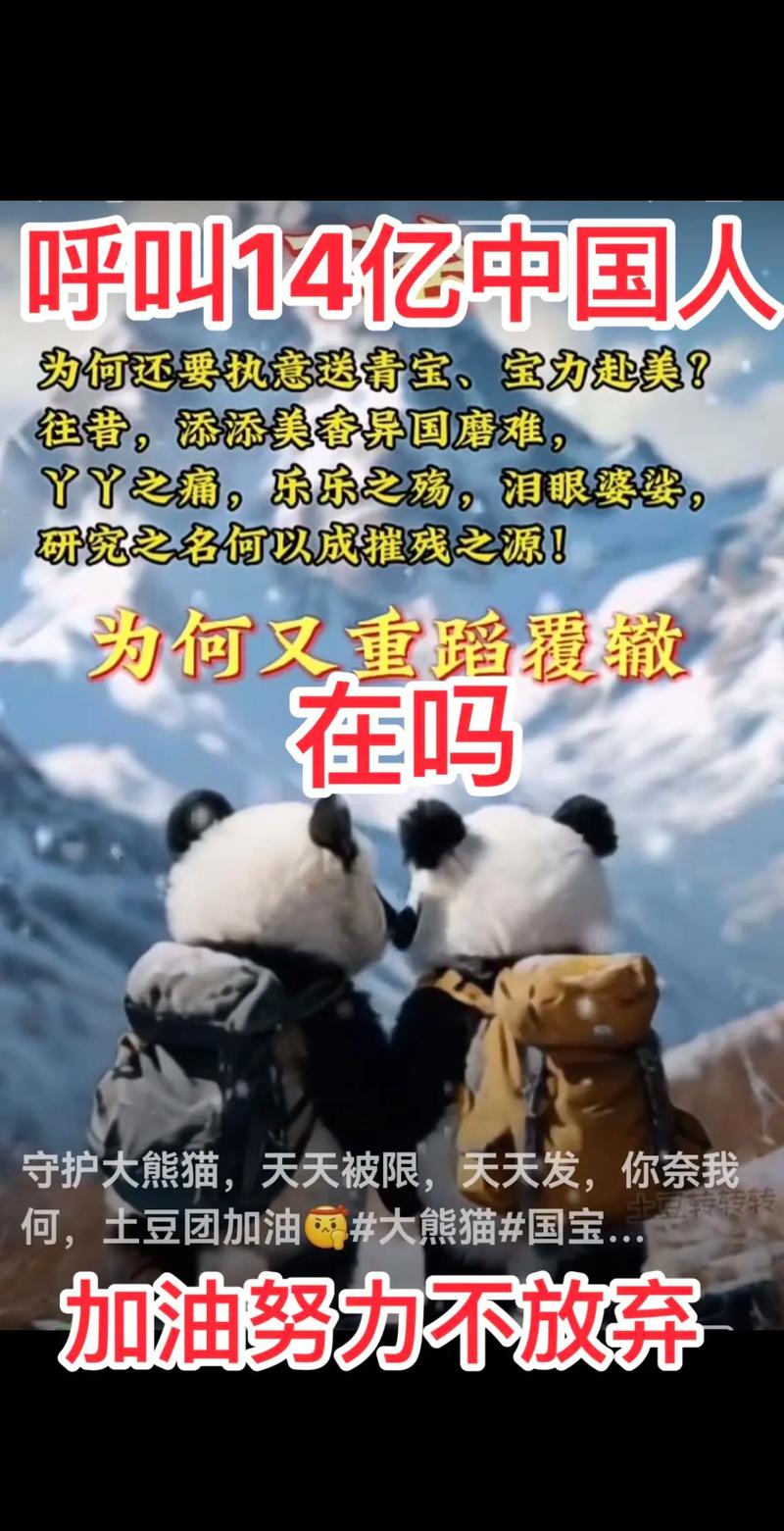 出国旅游擅自离团,她一步一步堕落深渊