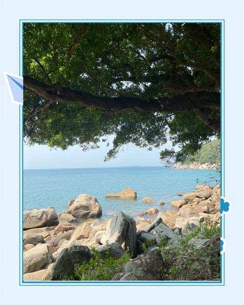 深圳哪里适合晚上开车约会,深圳情侣旅游自驾游