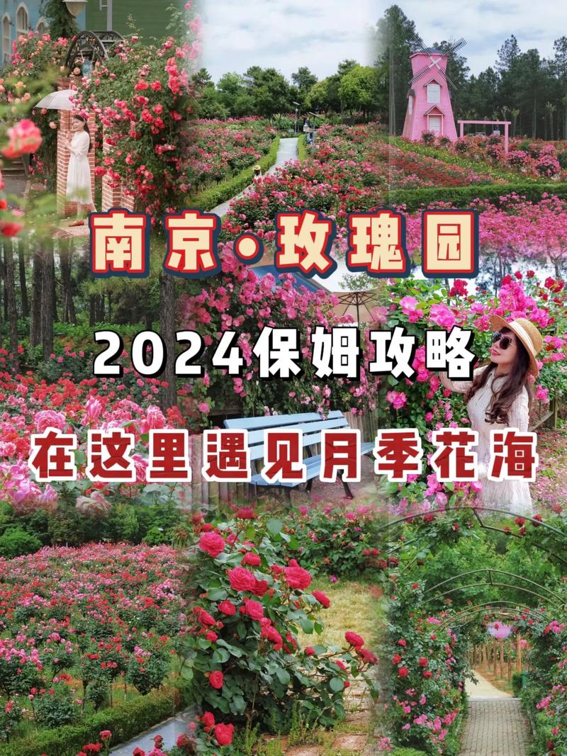 南京玫瑰园自驾旅游攻略