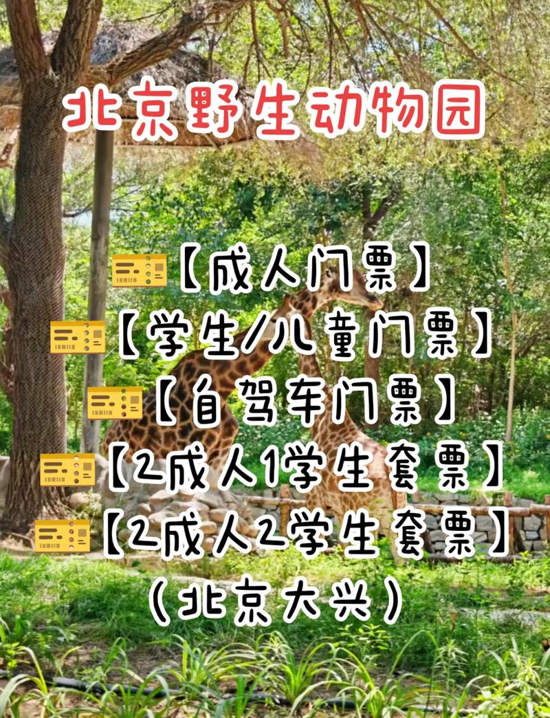 北京大兴动物园春节开门吗