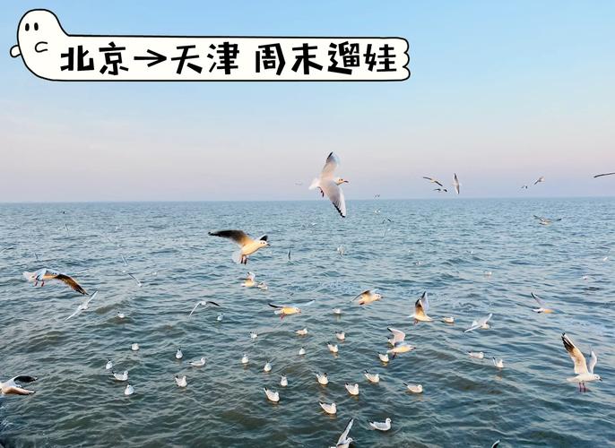 有什么天津到北京的自驾游路线推荐?