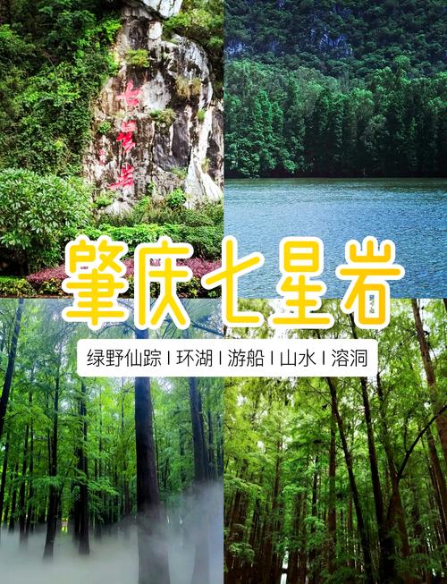 肇庆七星岩春节免费吗