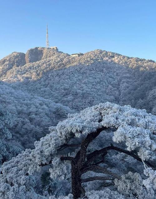 春节黄山冷吗?