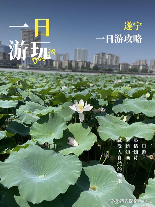 自驾游去遂宁,有什么路线值得分享?