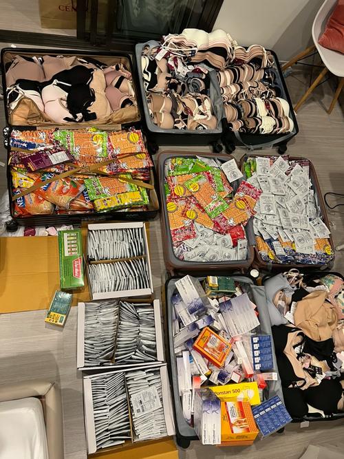 皮箱出国旅游？皮箱出国旅游能带吗？(知乎）