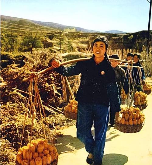 大寨如何去