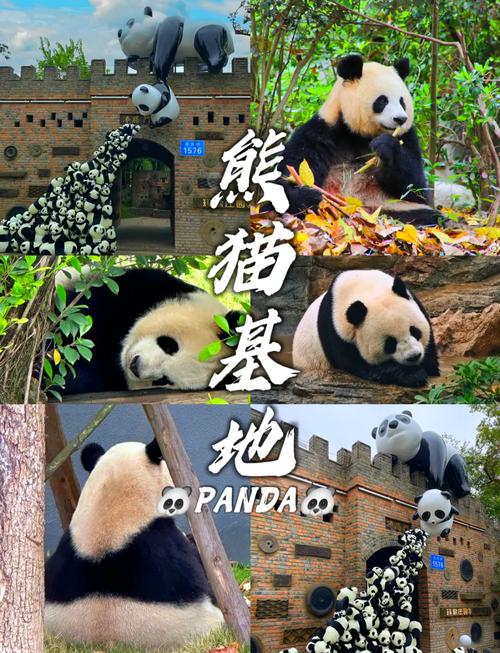 大熊猫基地过年开放吗