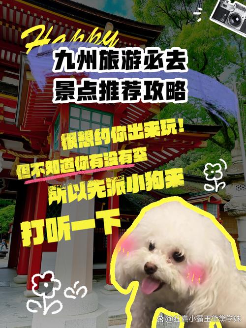 【带娃旅游】九州自驾游