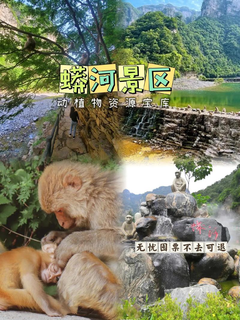 阳城自驾旅游，阳城周边一日游免费？（今日头条已更新）