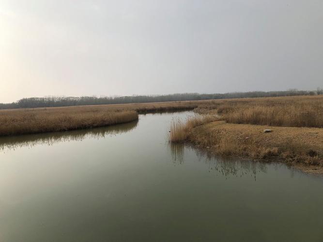 长治春节旅游，长治春节旅游团(2024头条知乎已更新）