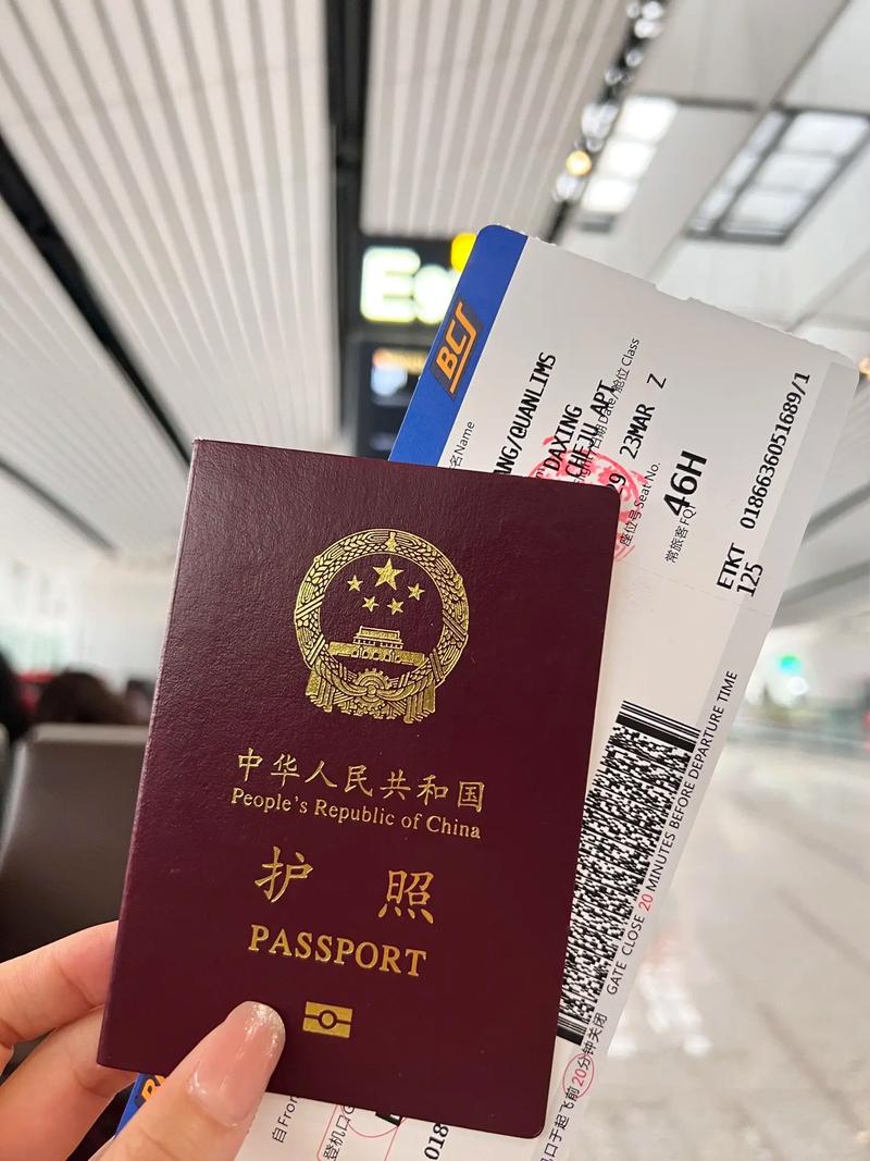 出国旅游上什么网