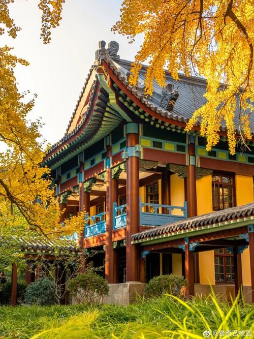 旅游类大学大学有哪些