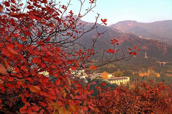 十一国内最佳旅游地