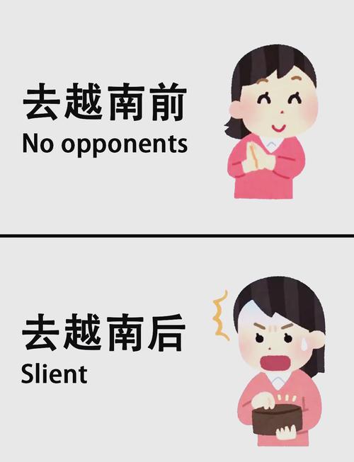 越南出国旅行问题