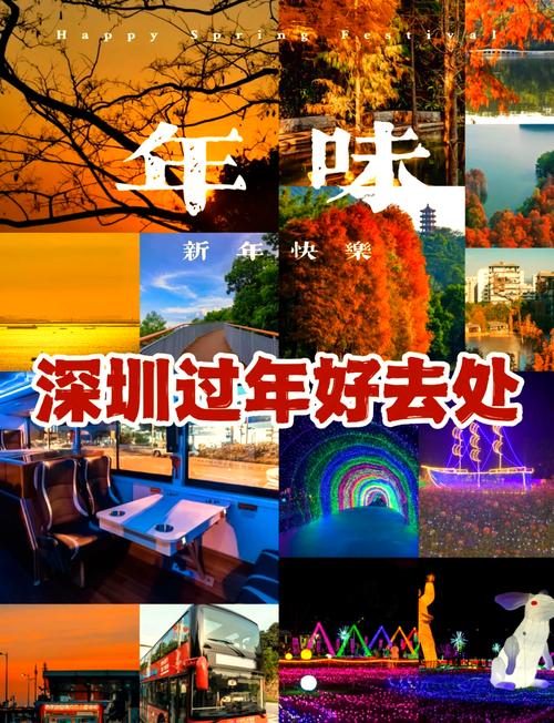 深圳和珠海哪个更适合春节去旅游