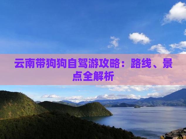 公狗自驾旅游？带狗狗自驾游需要准备什么？(知乎）