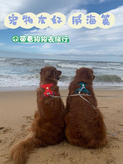 如何带着狗狗去旅行