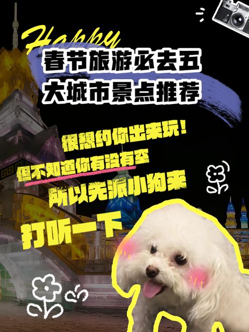 春节坝上旅游，春节坝上旅游景点介绍(2024头条知乎已更新）