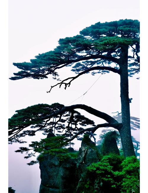 黄山自驾游