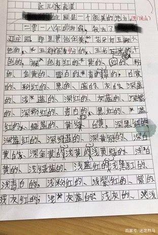 尼苏小镇怎样写作文