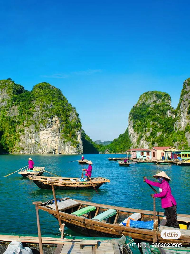 陪我出国旅游，陪我出国旅游英语？（今日头条已更新）