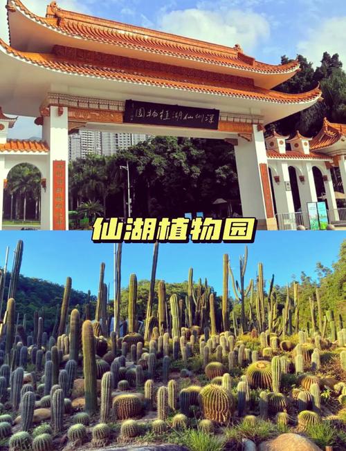 深圳6个潜水胜地推荐,海洋旅游推荐深圳