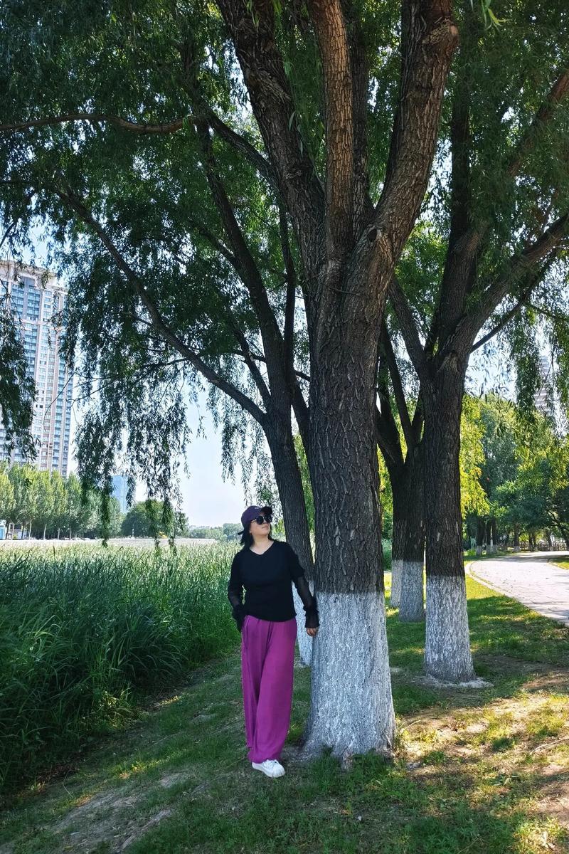 这么热的天有哪些地方可以乘凉?