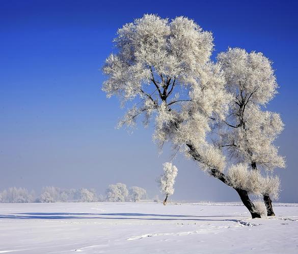 东北篇|春节自驾游去哪儿,4个东北地区赏雪景/感受味的绝美自驾游好去处...