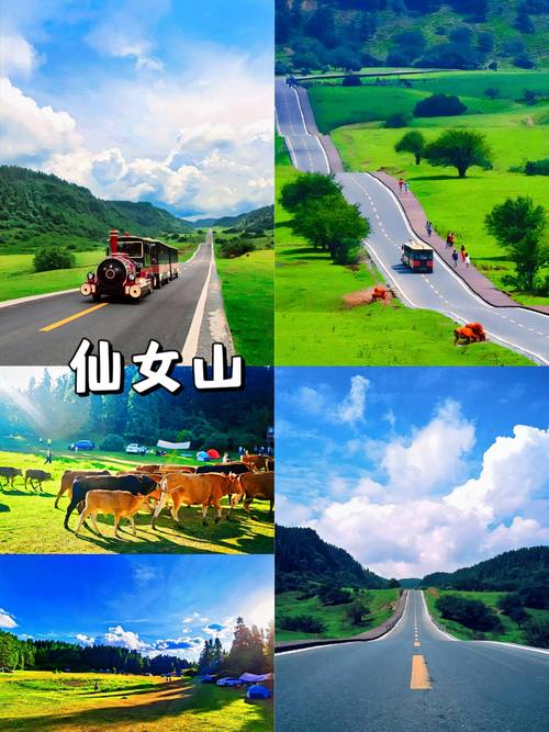 重庆近郊自驾旅游景点推荐