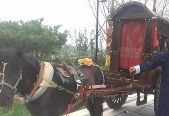 雇车是什么意思