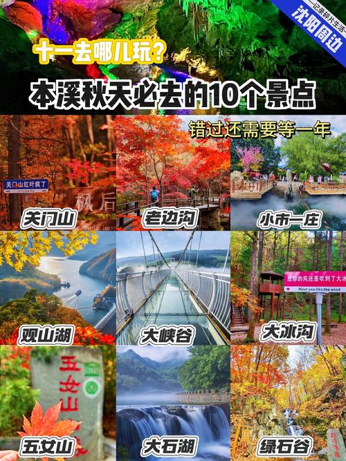 我想去自驾游,不知道哪里可以有好的自驾游网站呢?