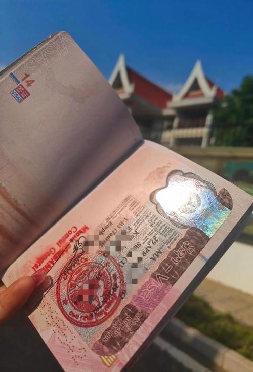 出国去老挝需要办理什么手续
