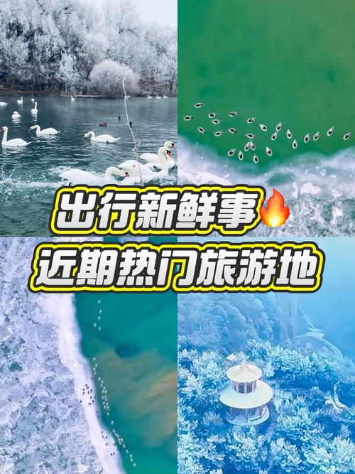 一月份出境旅游,去哪个国家好?天气暖和一点的!
