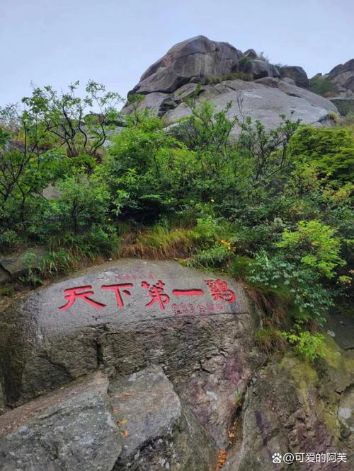 信阳适合自驾游的地方有哪些