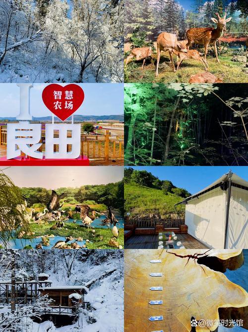 2019延边春节州内景区营业时间是多少