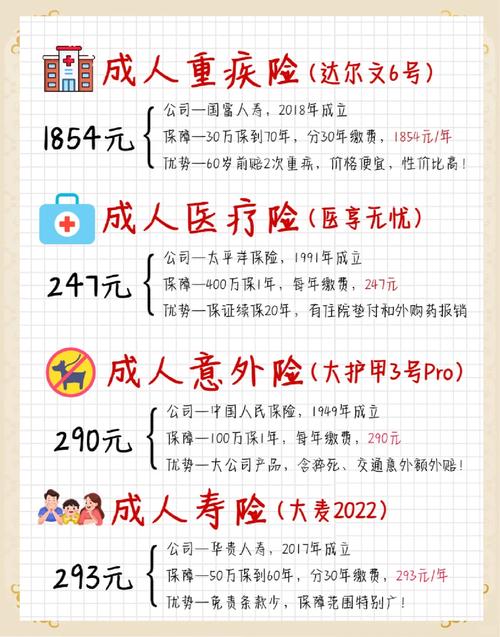 国内游客的个人保险是什么?
