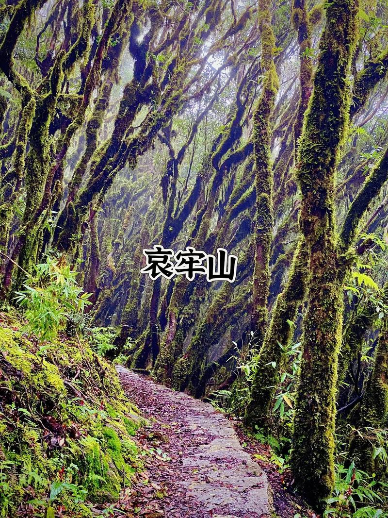 十一假期出游!值得去的国内5个小众又宝藏的旅游景点
