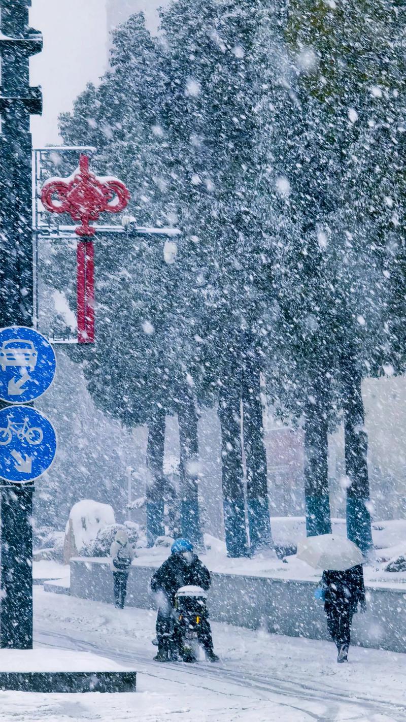 中国冬天必下雪的城市