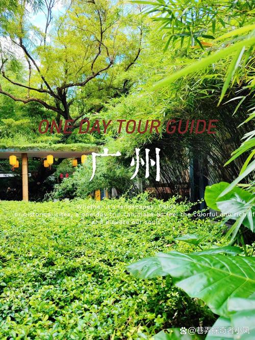 旅游自驾广州，广州自驾最美线路？（今日头条已更新）